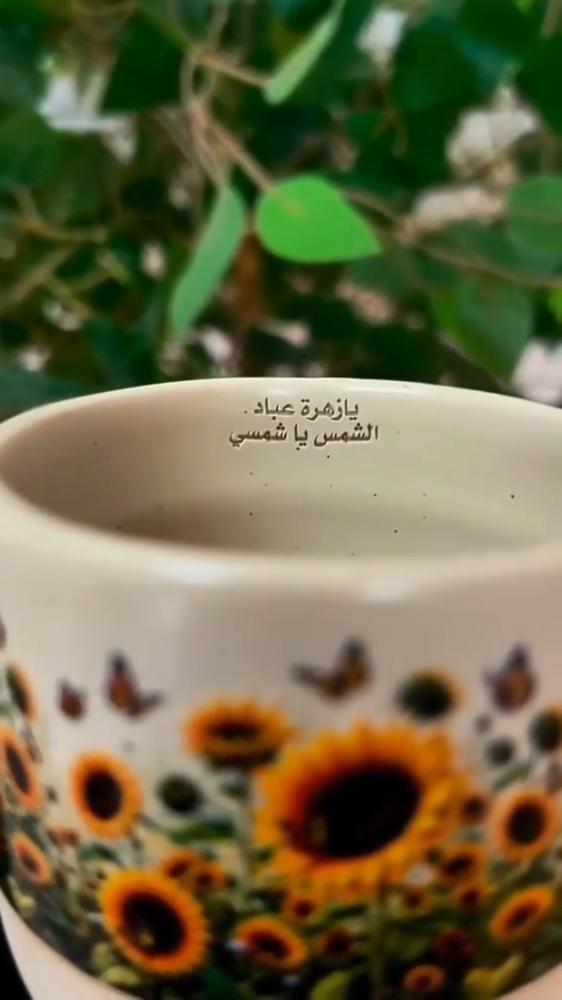 فنجال ورد الاقحوان الصيفي