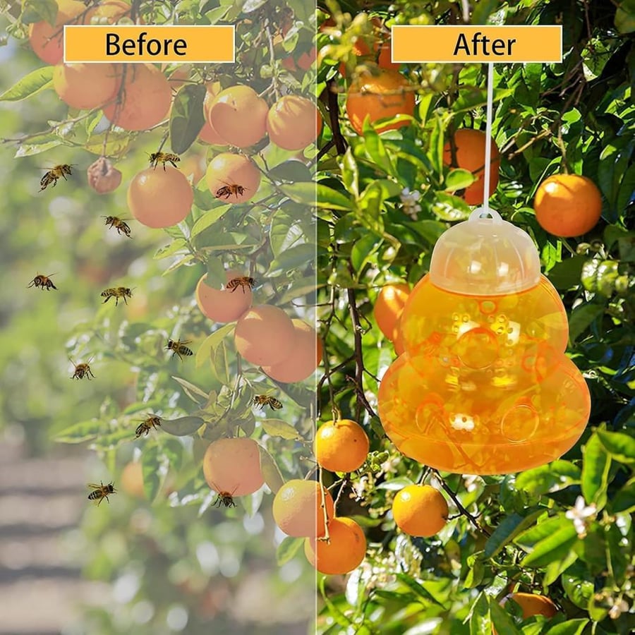 Fruit Fly Traps Outdoor, 2 Pack Hanging Fly Traps with Powerful Lure, Reusable Outdoor Fly Catcher for Fruit Trees, Vegetable Garden and Outdoor Spaces