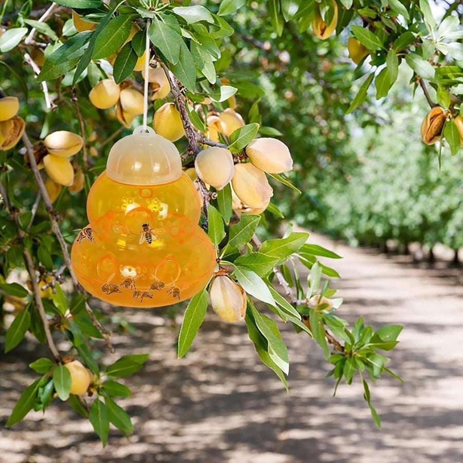 Fruit Fly Traps Outdoor, 2 Pack Hanging Fly Traps with Powerful Lure, Reusable Outdoor Fly Catcher for Fruit Trees, Vegetable Garden and Outdoor Spaces