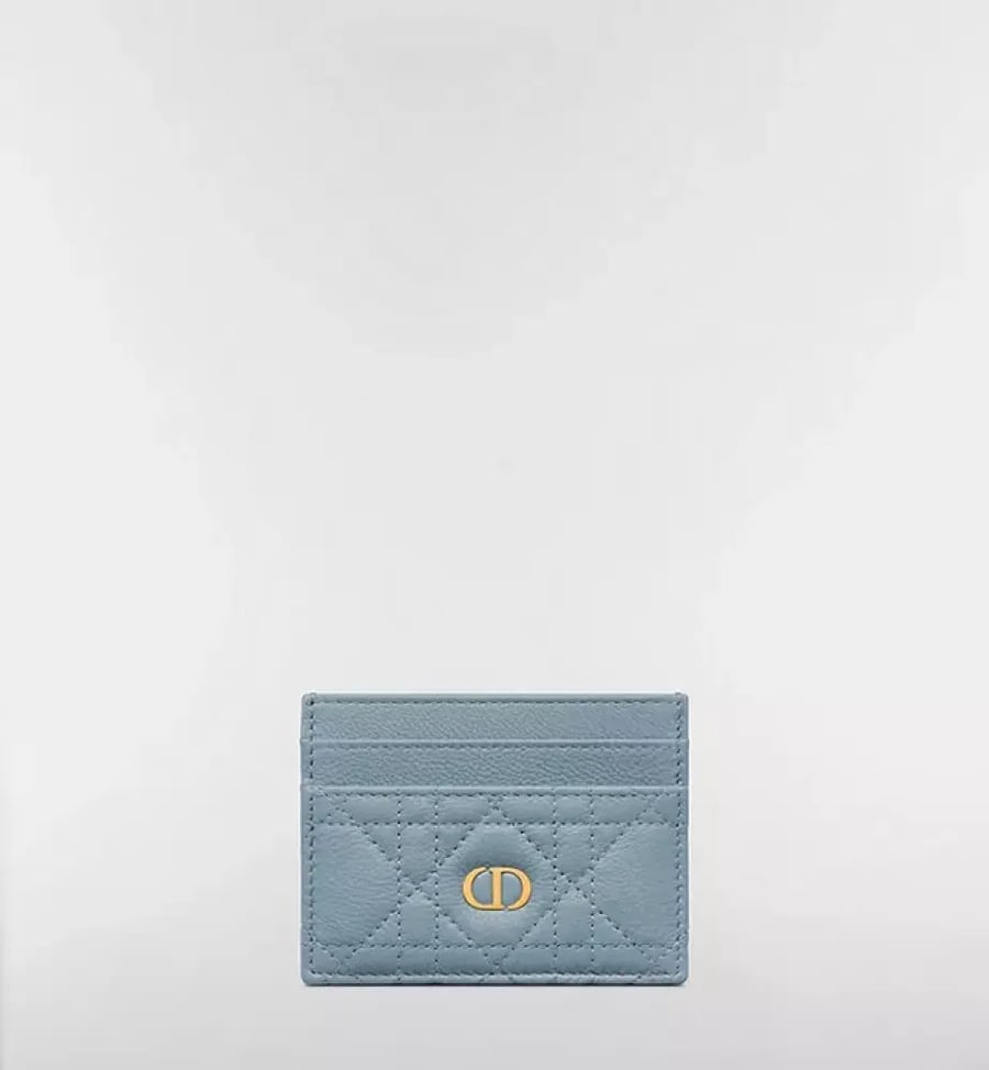 حقيبة باوتش Dior Caro Daily بالحجم الكبير
