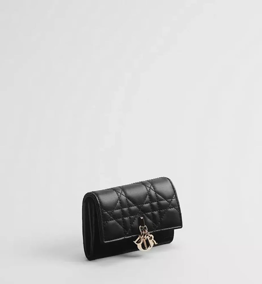 محفظة My Dior Glycine