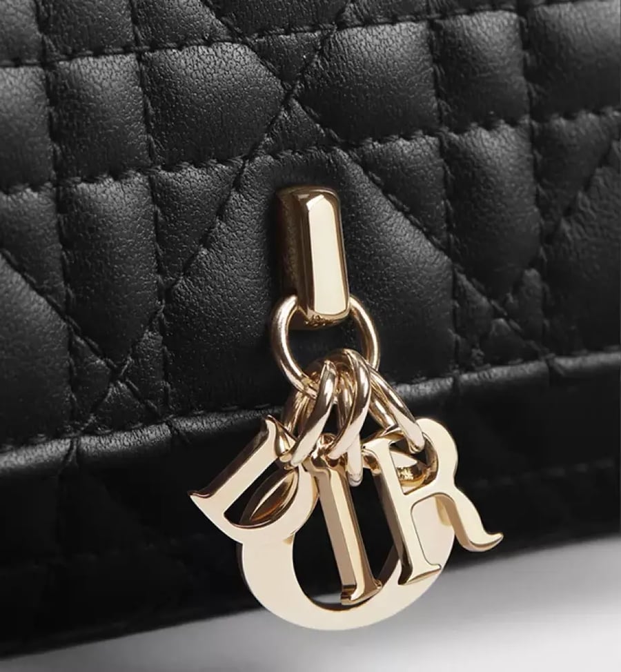 محفظة My Dior Glycine