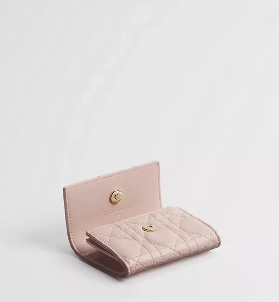 محفظة My Dior Glycine