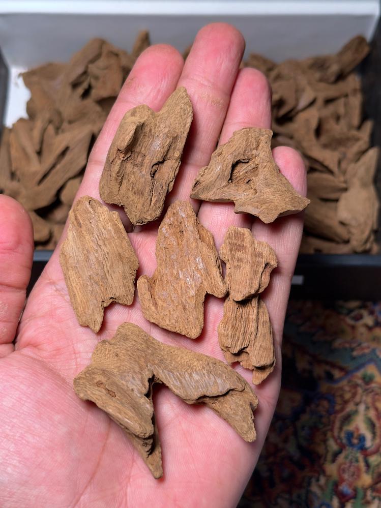 Moroccan, Chinese cut, falcon