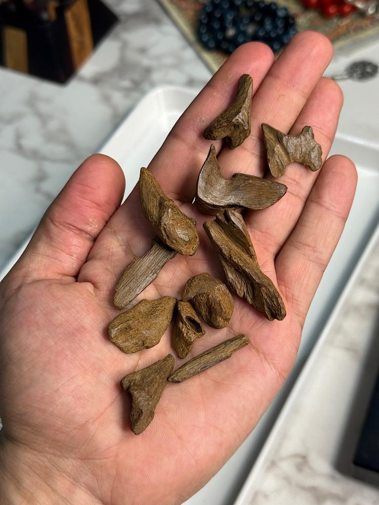 فرزة مروكي تولة 12g