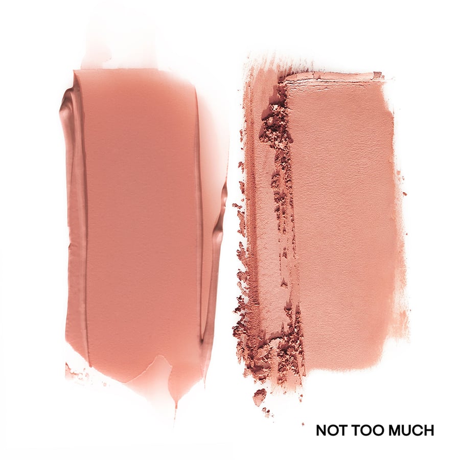 باتريك تا بيوتي بودرة احمر خدود ثاني - NOT TOO MUCH