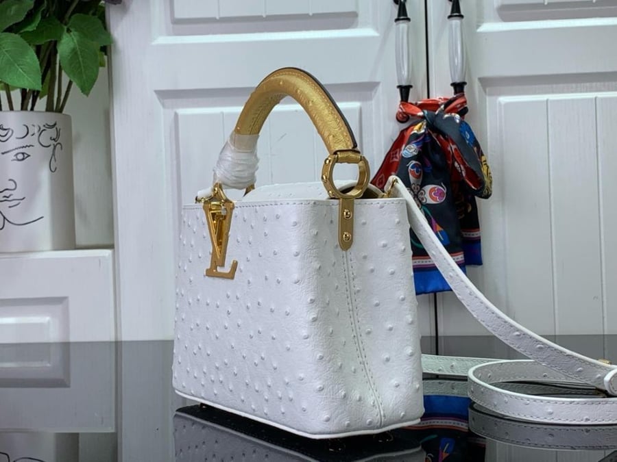 Louis Vuitton Capsin Mini 21cm