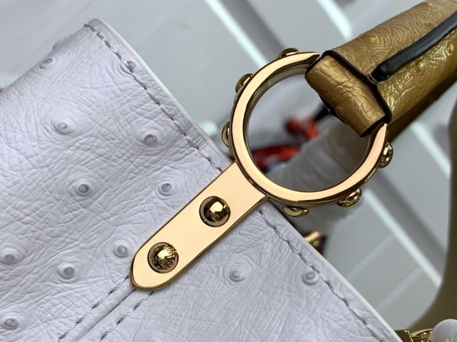 Louis Vuitton Capsin Mini 21cm