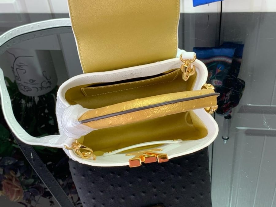 Louis Vuitton Capsin Mini 21cm