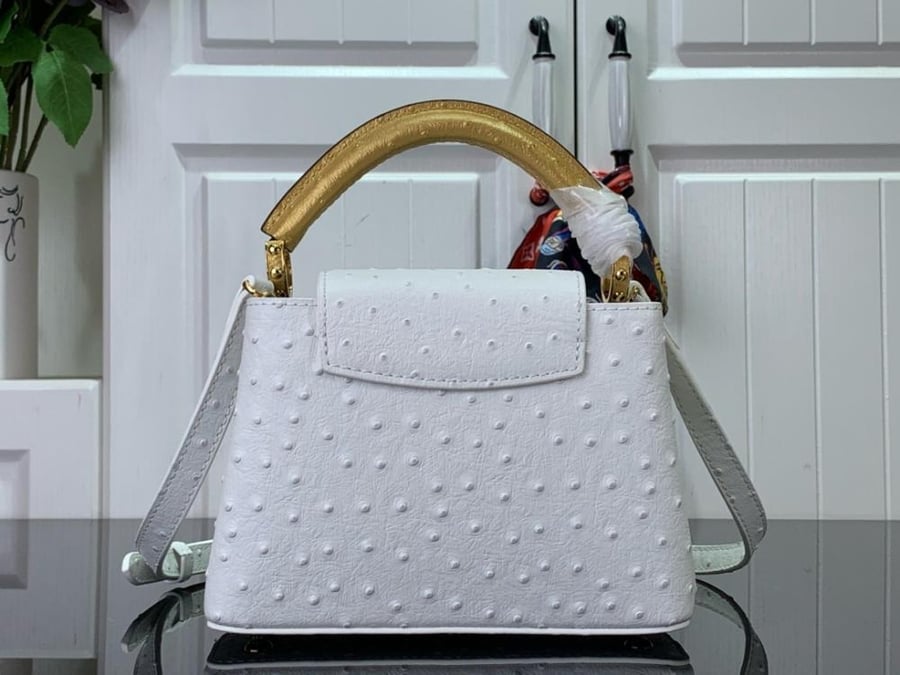 Louis Vuitton Capsin Mini 21cm