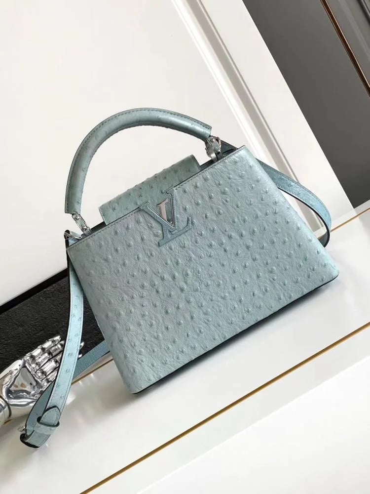 لوي فيتون مقاس 27cm