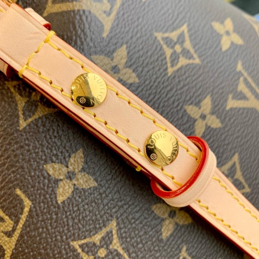 Louis Vuitton Neonoé BB 20cm