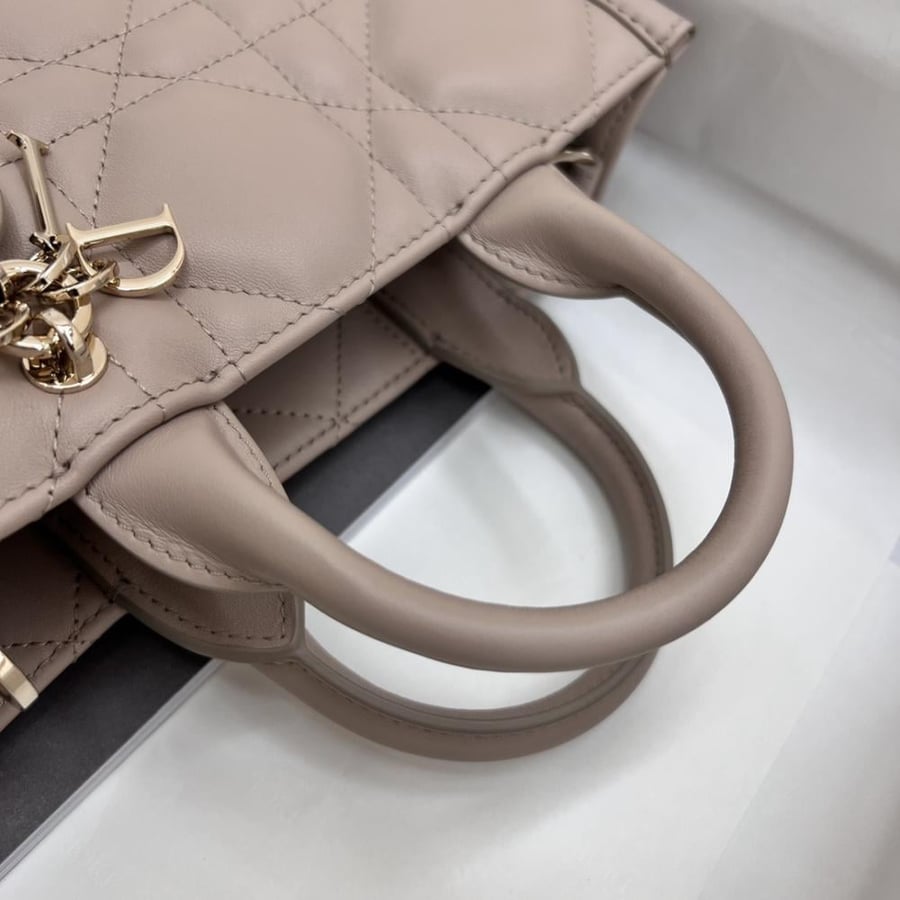 ديور Book Tote مقاس 21.5cm