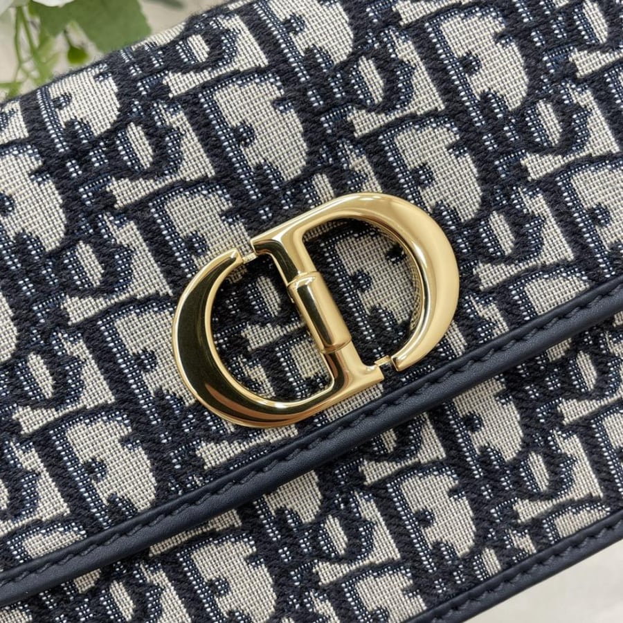ديور ‏DIOR BOBBY East-West مقاس 22cm