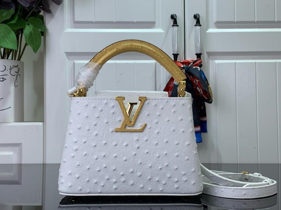 Louis Vuitton Capsin Mini 21cm