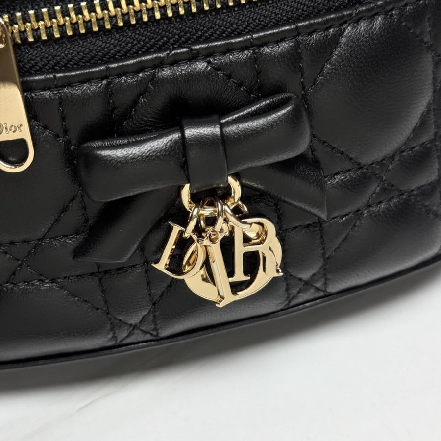 Mini Vanity Dior