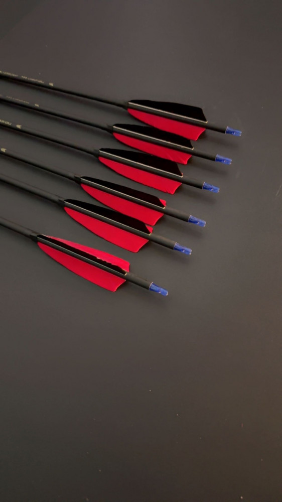6 carbon feather Turkish
