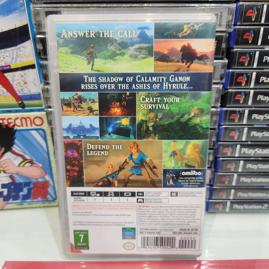 Ns the legend of zelda