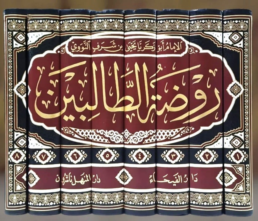 روضة الطالبين 8