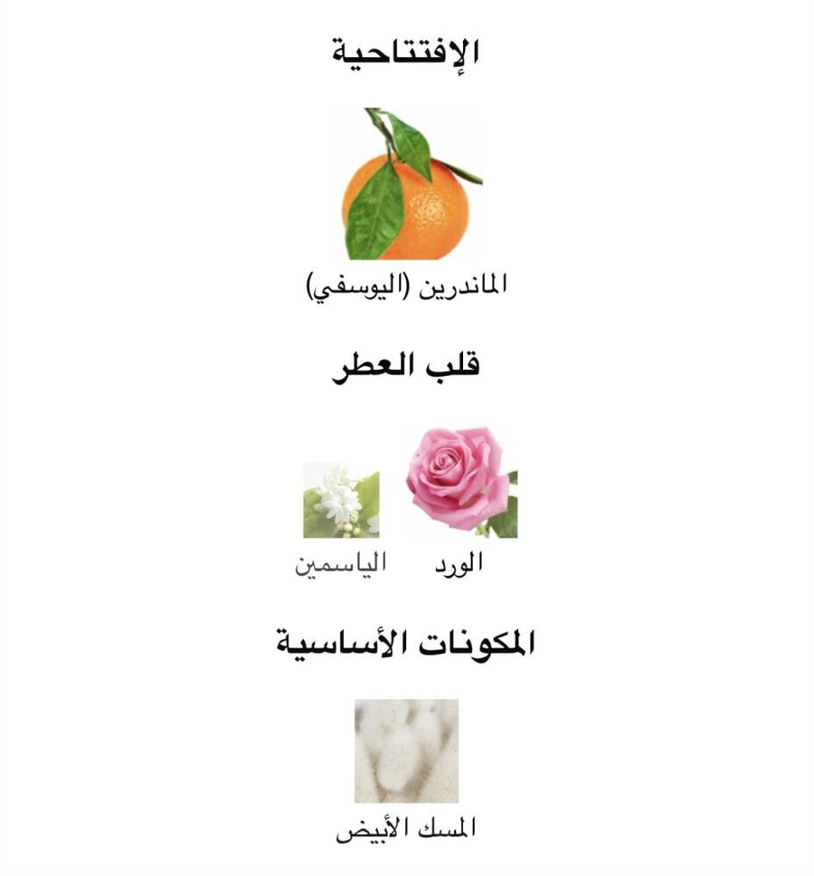 عطر نسائي شانيل كوكو مادموزيل ليو بريفي بور لا نويت 100ML ا