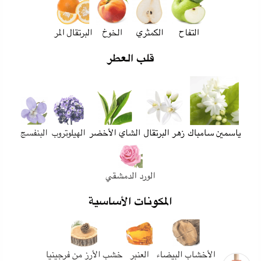 عطر نسائي ايلا سولو لويفي او دو برفيوم 100 ML تستر