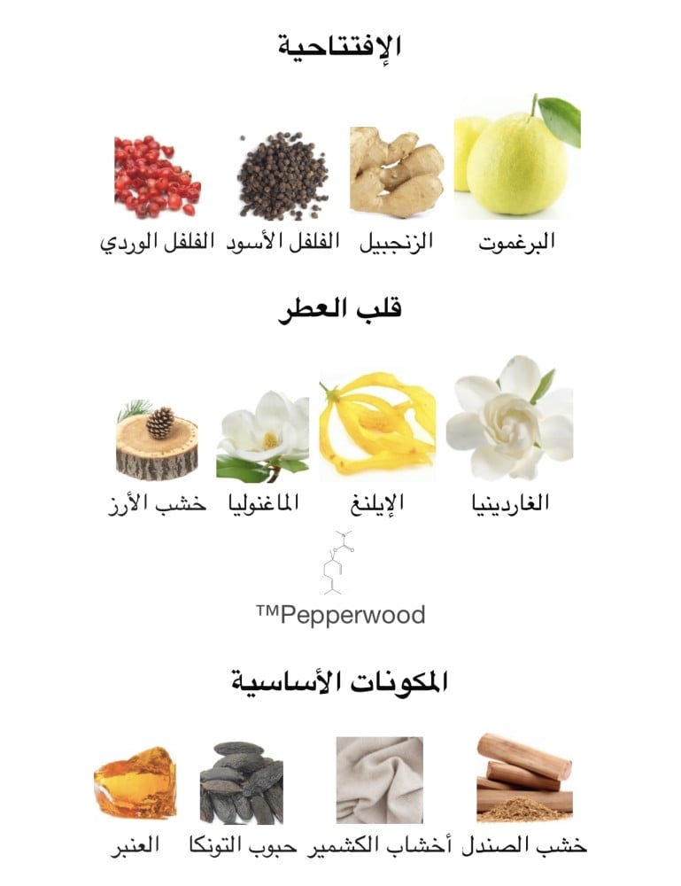 عطر للجنسين نيش فينيشيان برغموت توم فورد 50ML
