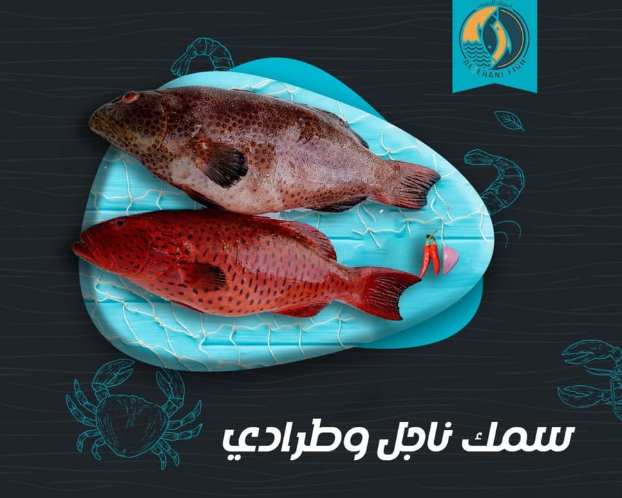 ناجل وطرادي