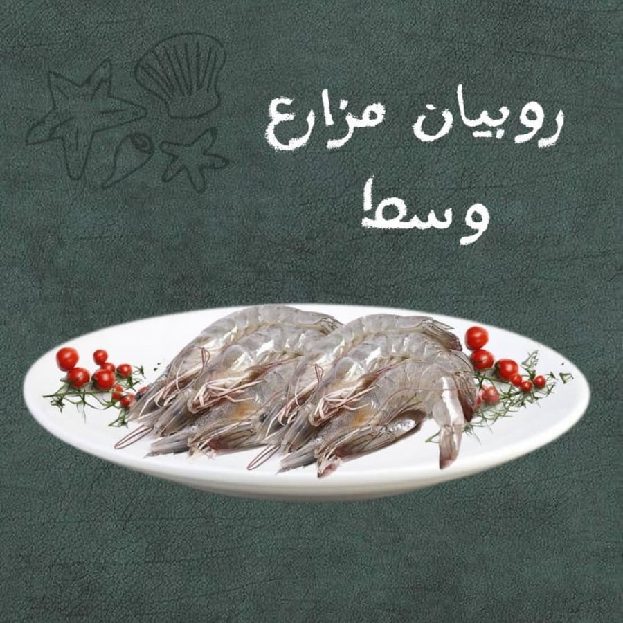 جمبري مزارع