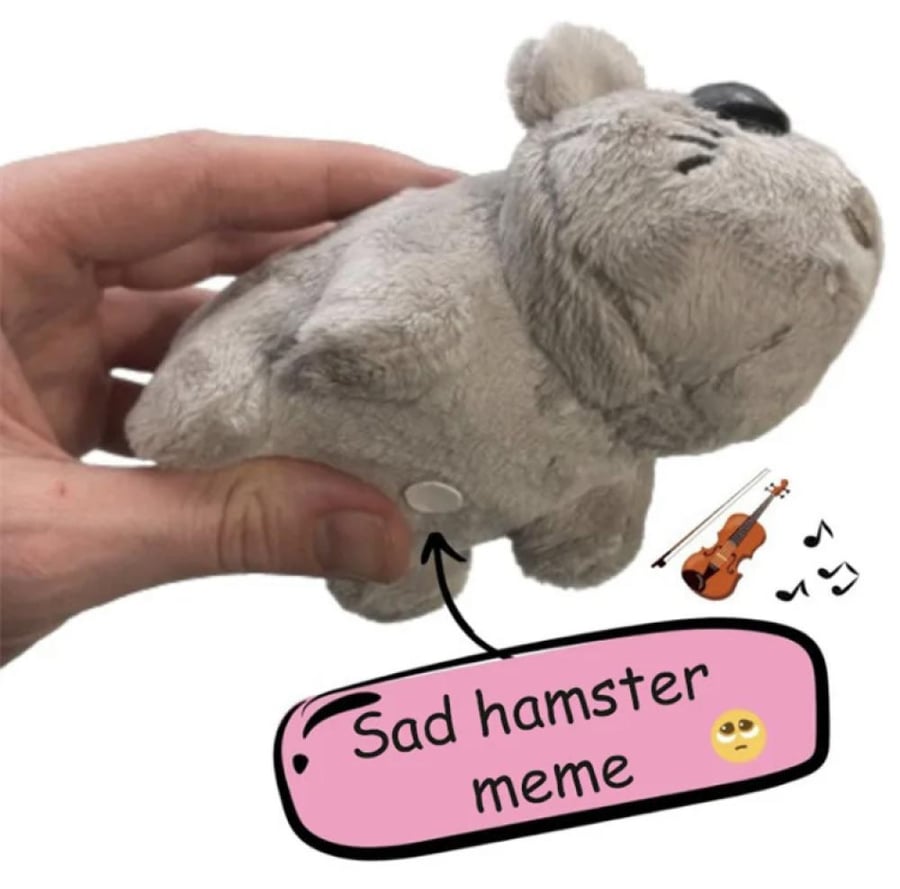 الهامستر الحزين | Sad Hamster