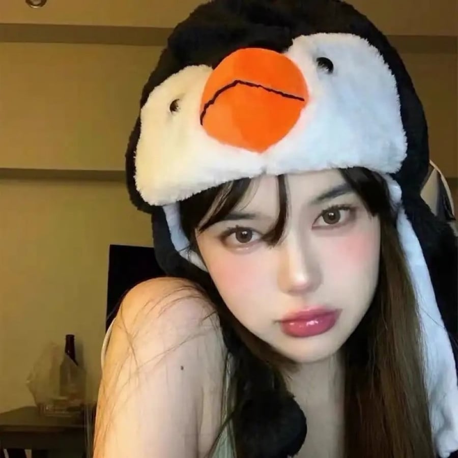 قبعة البطريق | penguin