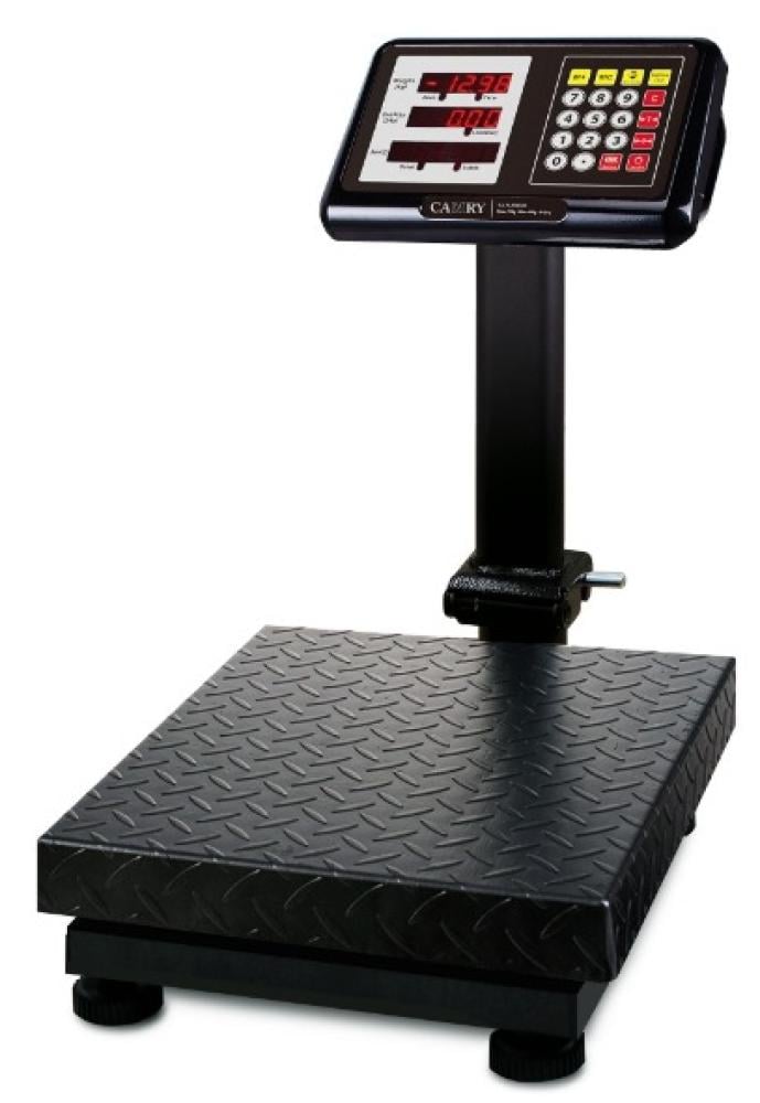 300 kg iron scale DS-0015