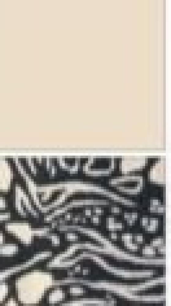 بجامة نسائية قطعتين شورت 281827