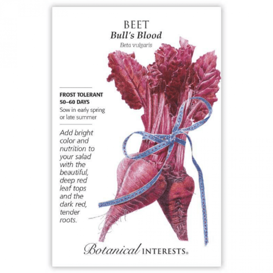 بذور شمندر أحمر - Bull's Blood Beet Seeds