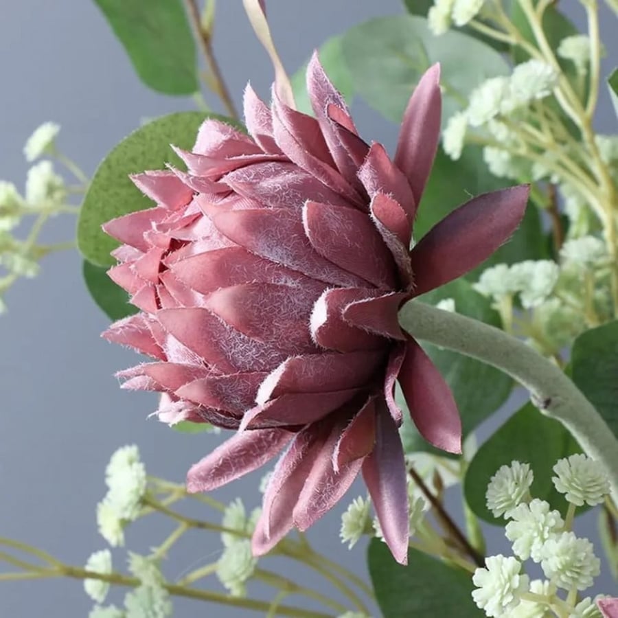 أزهار الخرشوف.