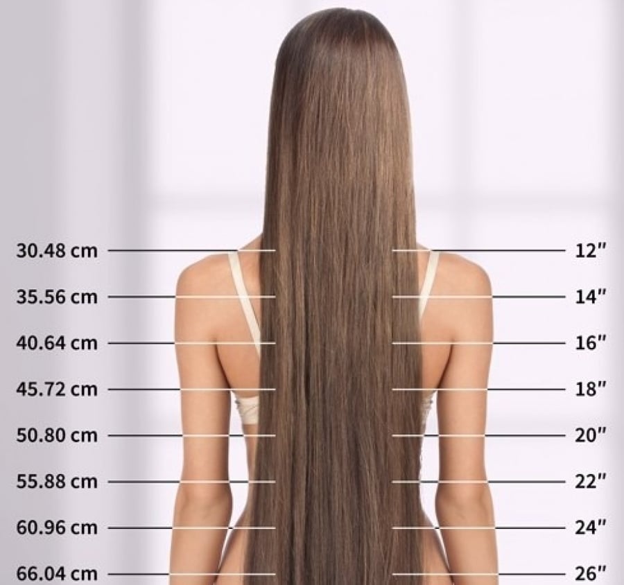 ذيل الحصان Pony Tail