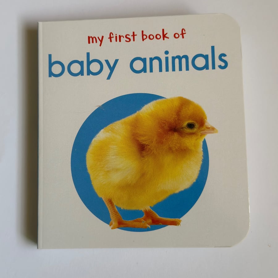 كتاب صغار الحيوانات