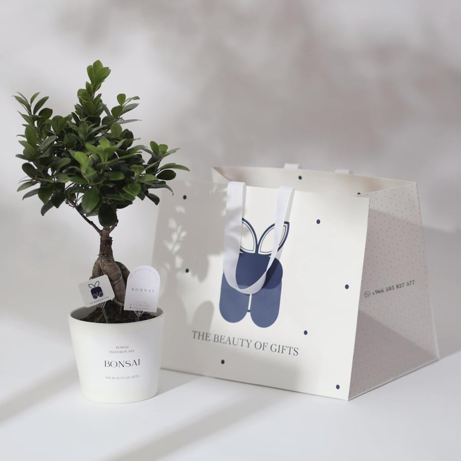 BONSAI PLANT نبتة البونساي
