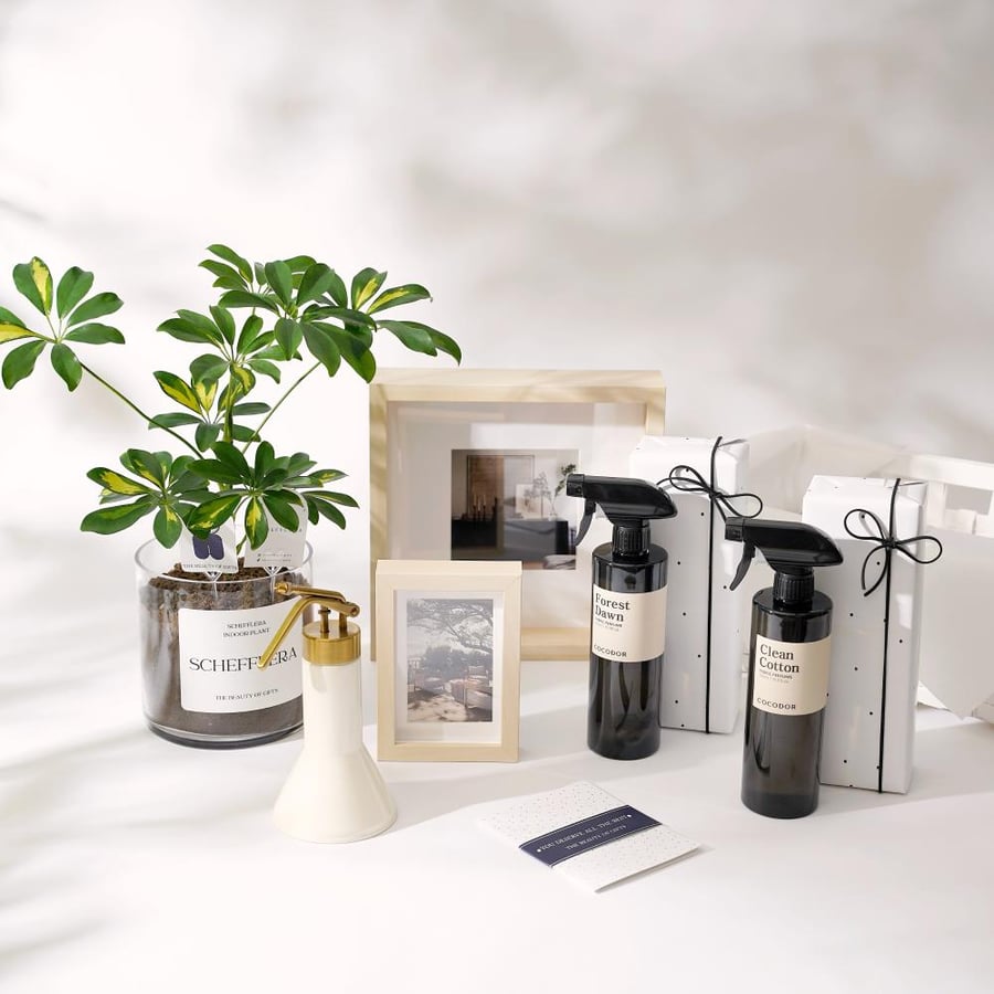 Forest Dawn Gift