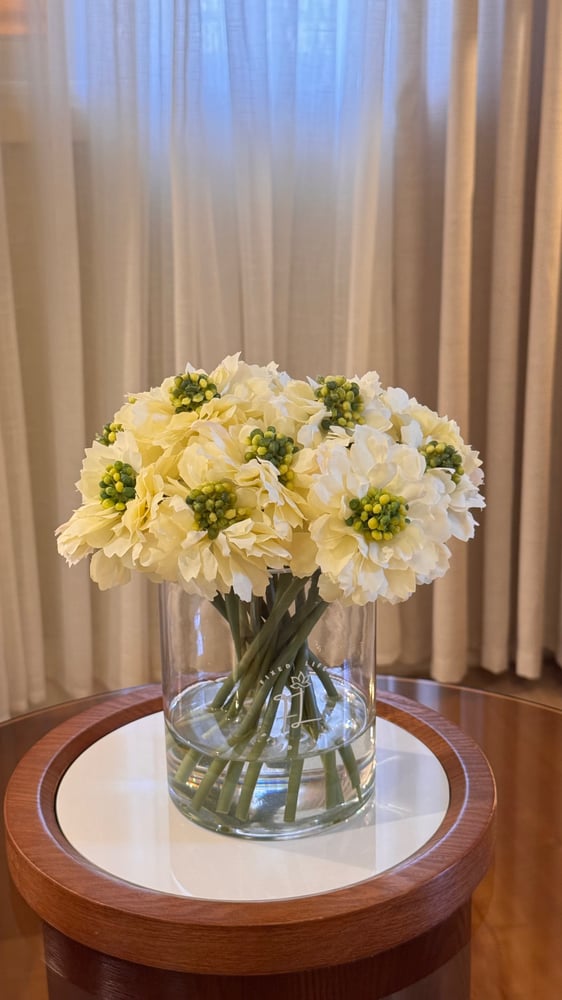 علا