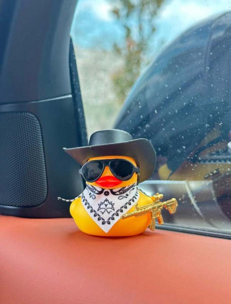 ديكور سيارة بشكل بطة جميلة