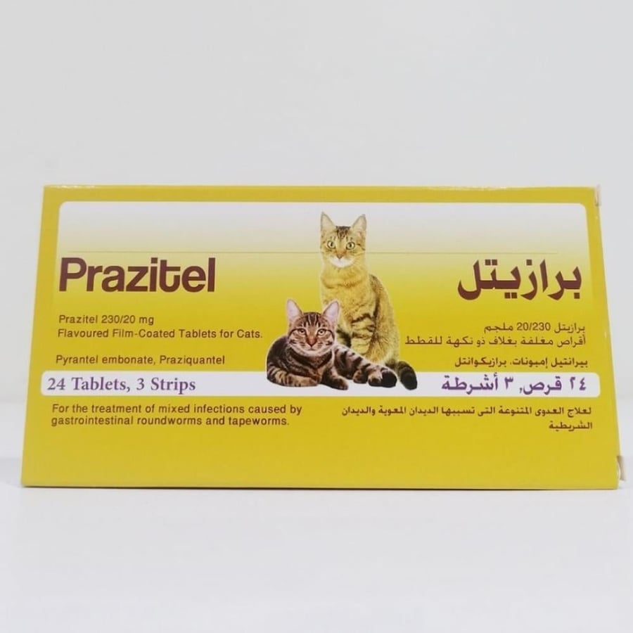 برازيتيل حبوب ديدان للقطط