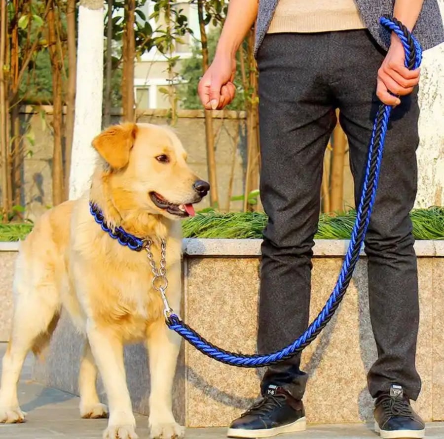 طوق بحبل مزدوج للكلاب الكبيرة ، سلسلة P ، جر للحيوانات الأليفة ، بطول 1.2 متر