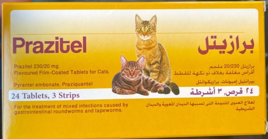 برازيتيل حبوب ديدان للقطط