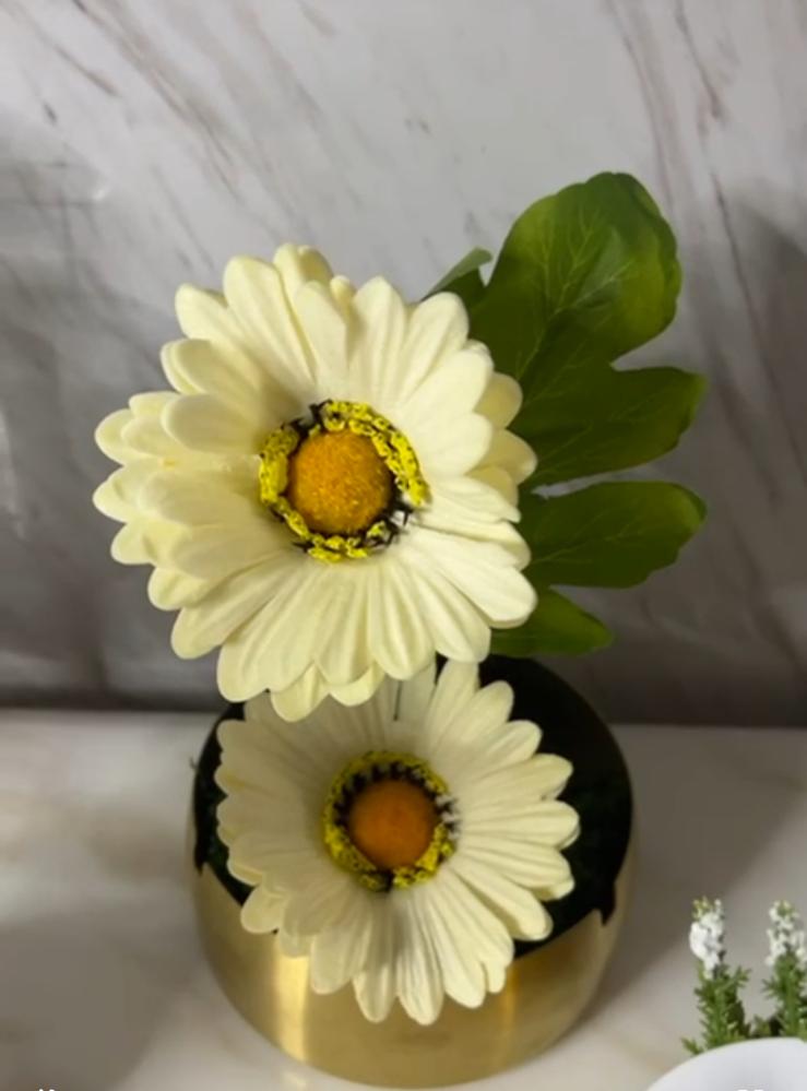 فازه ضيافه ذهبي