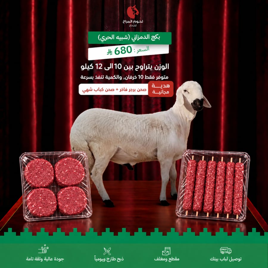 عرض اليوم الوطني الدمزاني شبيه الحر