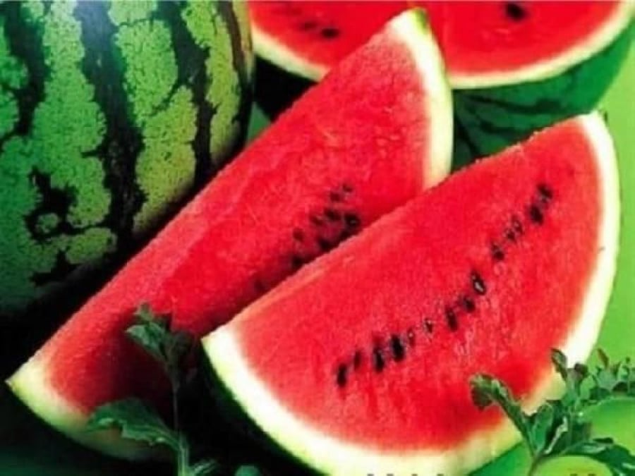 بطيخ طازج