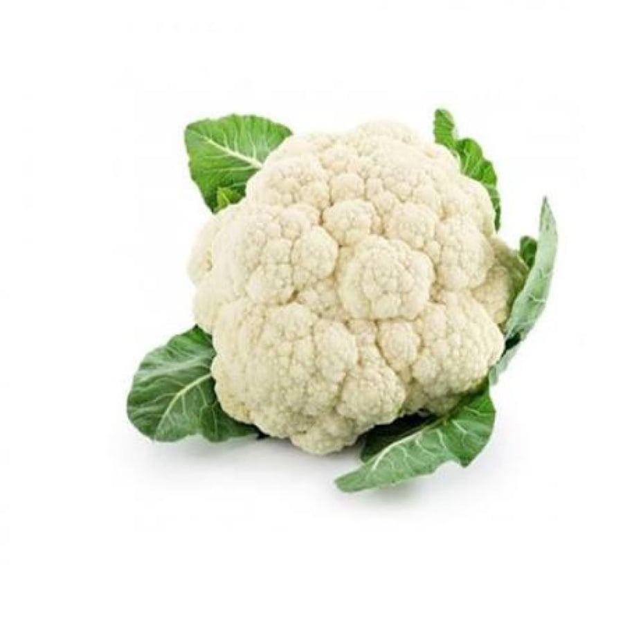 حبة زهرة