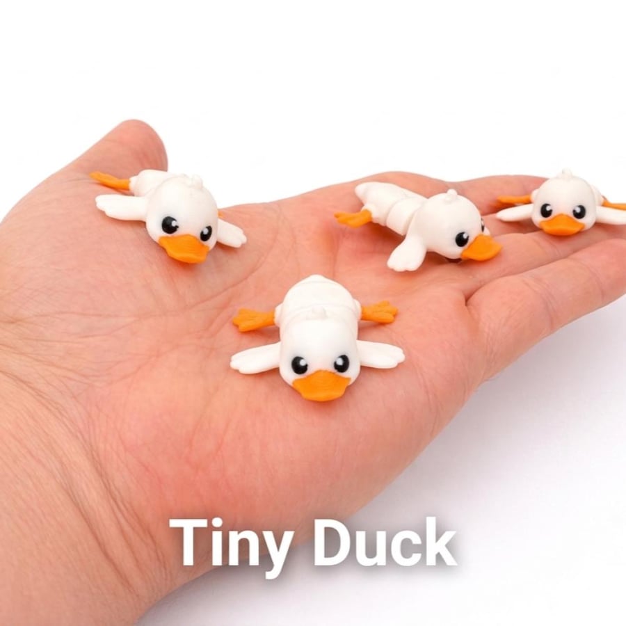 Little Duck البط الصغير