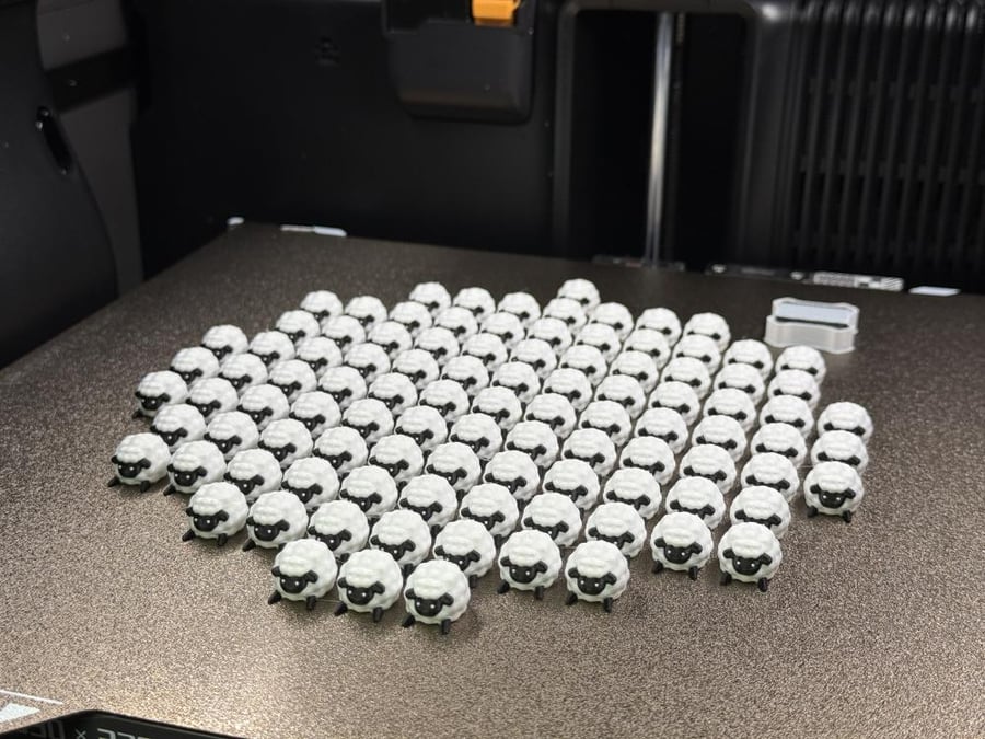 50 خروف كسول mini lazy sheep