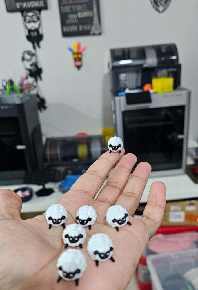 50 خروف كسول mini lazy sheep